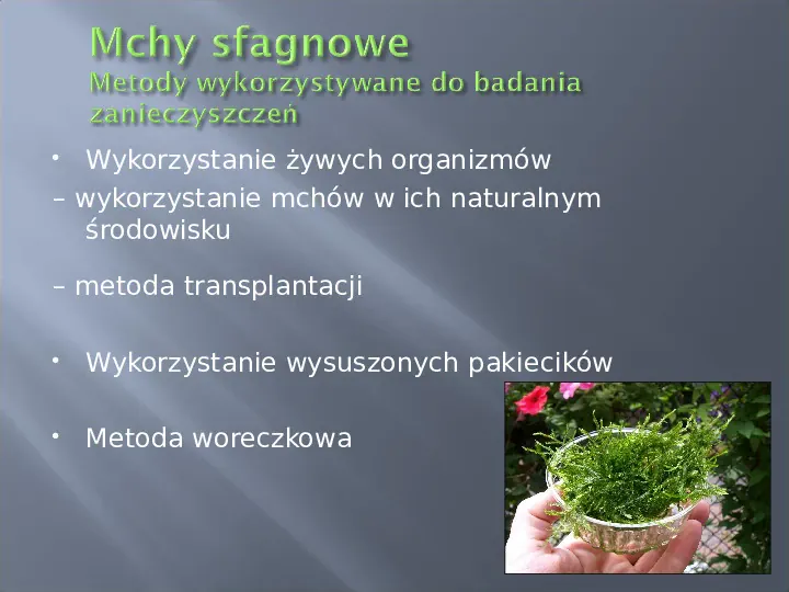 Wykorzystanie roślin w bioindykacji skażeń - Slide 43