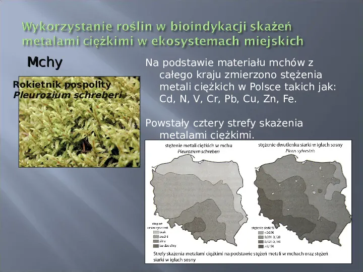 Wykorzystanie roślin w bioindykacji skażeń - Slide 62