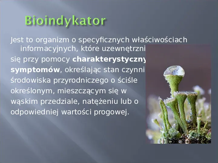 Wykorzystanie roślin w bioindykacji skażeń - Slide 8