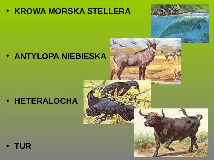 Rośliny, zwierzęta w Polsce i na świecie - gatunki zagrożone i wymarłe - Slide 14