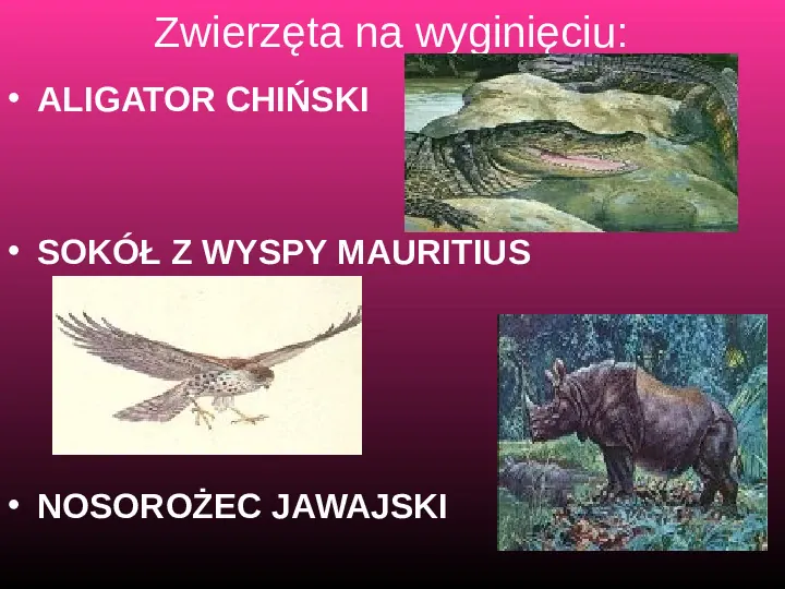 Rośliny, zwierzęta w Polsce i na świecie - gatunki zagrożone i wymarłe - Slide 16