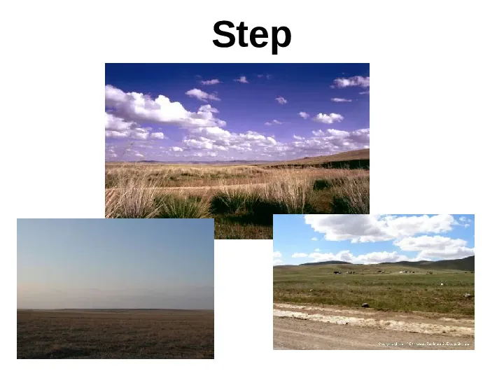 Ekologia i ochrona środowiska - Slide 40