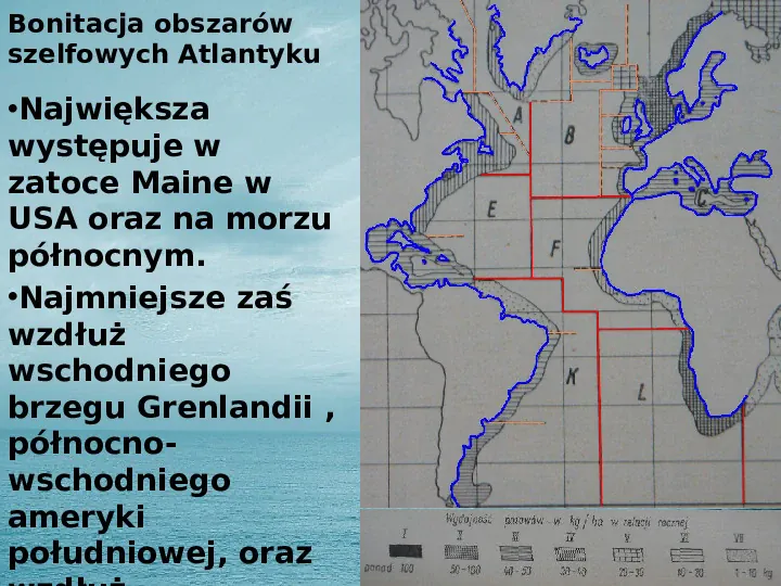 Zasoby biologiczne Atlantyku - Slide 14
