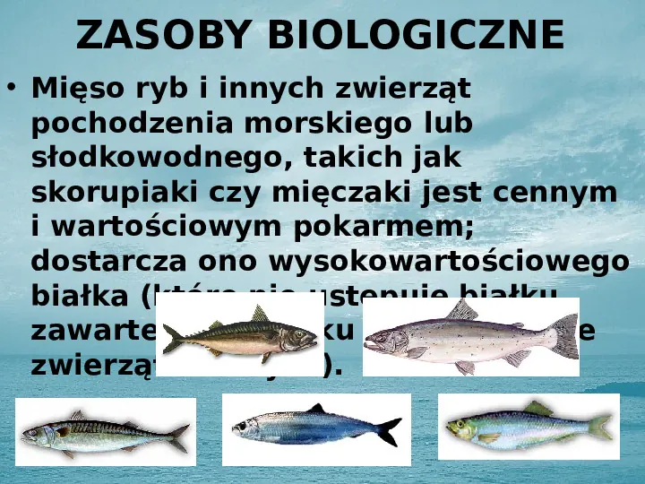 Zasoby biologiczne Atlantyku - Slide 3