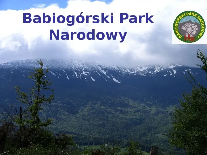 Babiogórski Park Narodowy - Slide 1