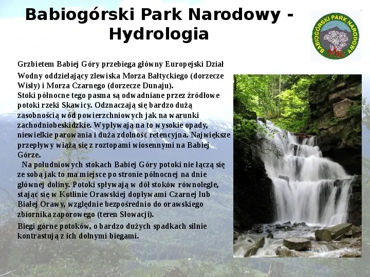 Babiogórski Park Narodowy - Slide 10