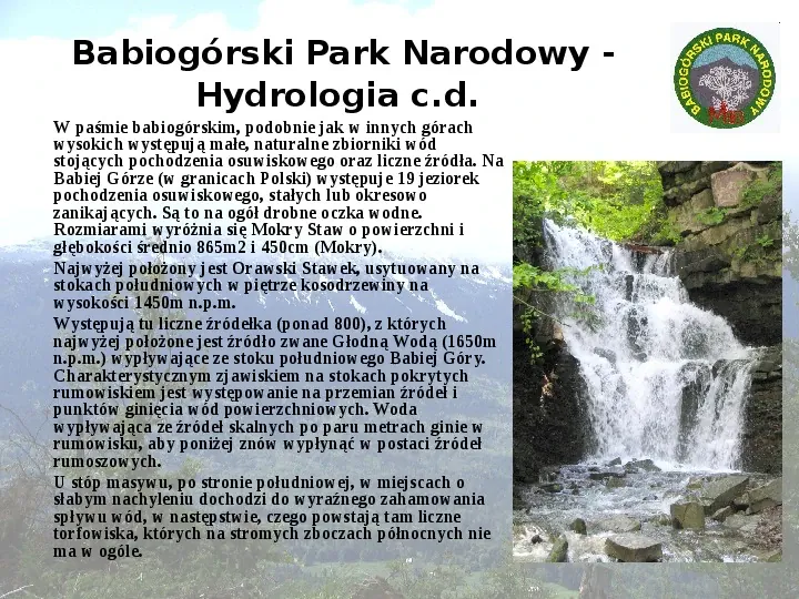 Babiogórski Park Narodowy - Slide 11
