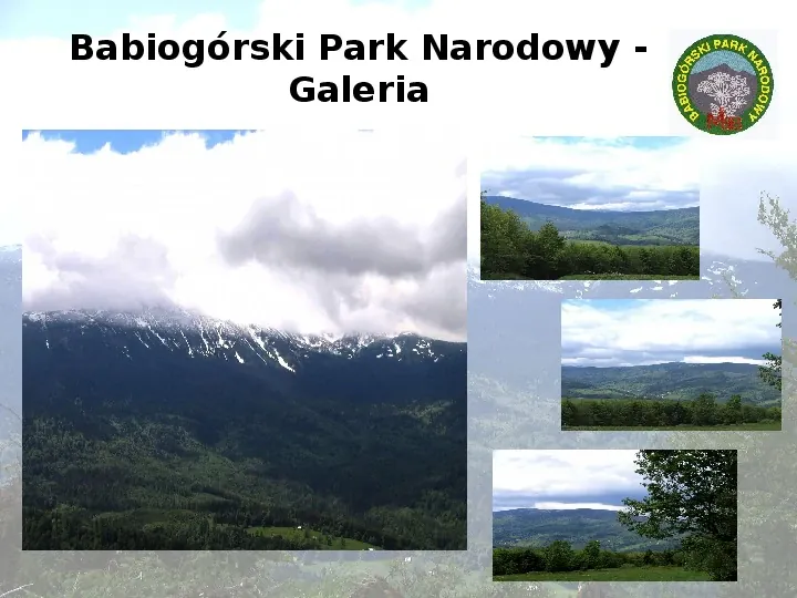 Babiogórski Park Narodowy - Slide 16