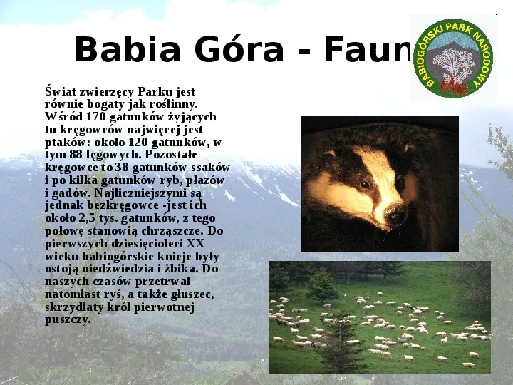 Babiogórski Park Narodowy - Slide 7