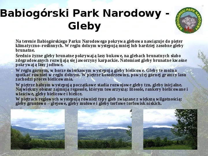 Babiogórski Park Narodowy - Slide 9