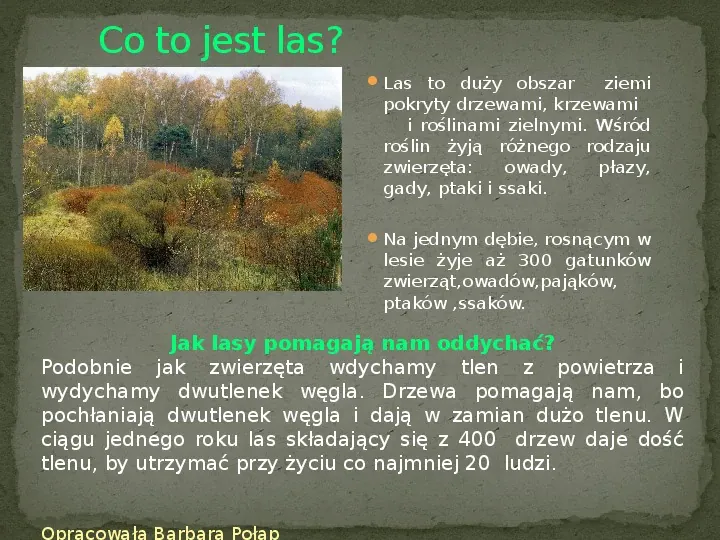 Las i jego mieszkańcy - Slide 2