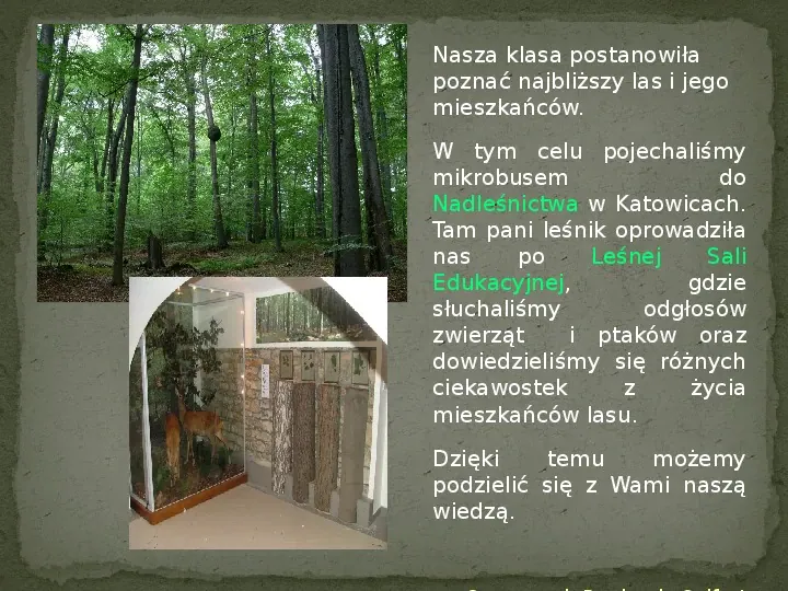 Las i jego mieszkańcy - Slide 3