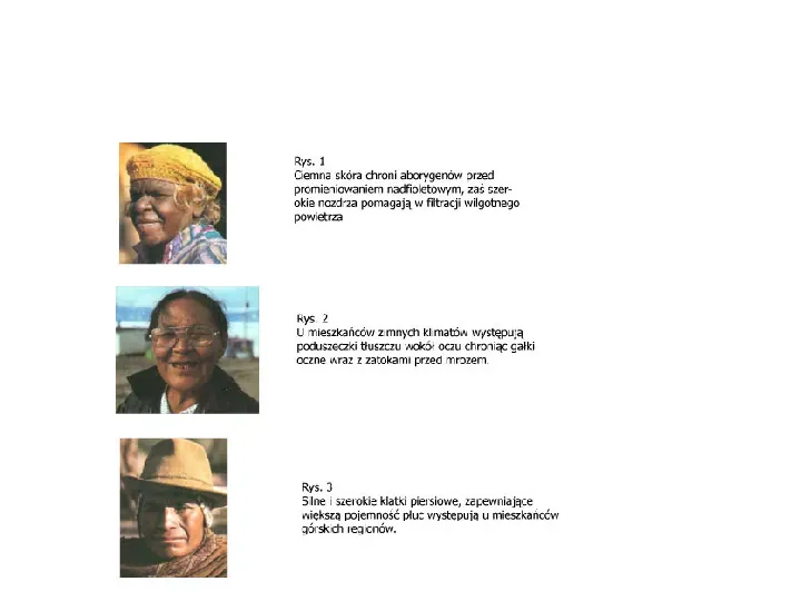 Zróżnicowanie ludności świata - Slide 7