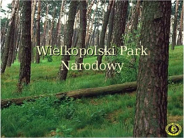 Wielkopolski Park Narodowy - Slide 1