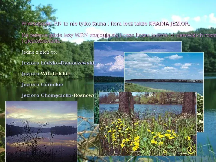 Wielkopolski Park Narodowy - Slide 8