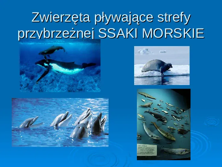 Życie w morzach i oceanach - Slide 13