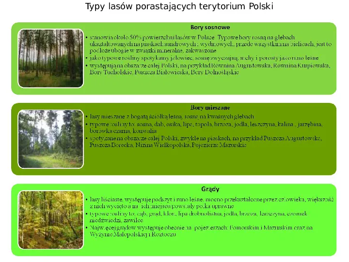 Świat roślinny i zwierzęcy w Polsce - Slide 11