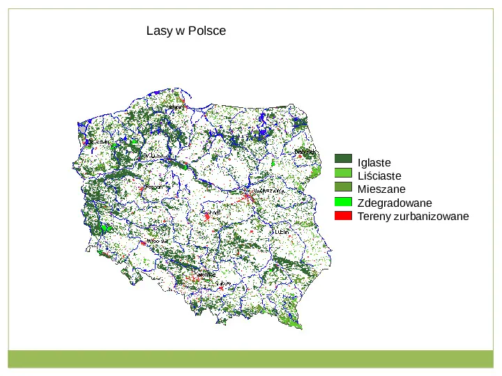 Świat roślinny i zwierzęcy w Polsce - Slide 13