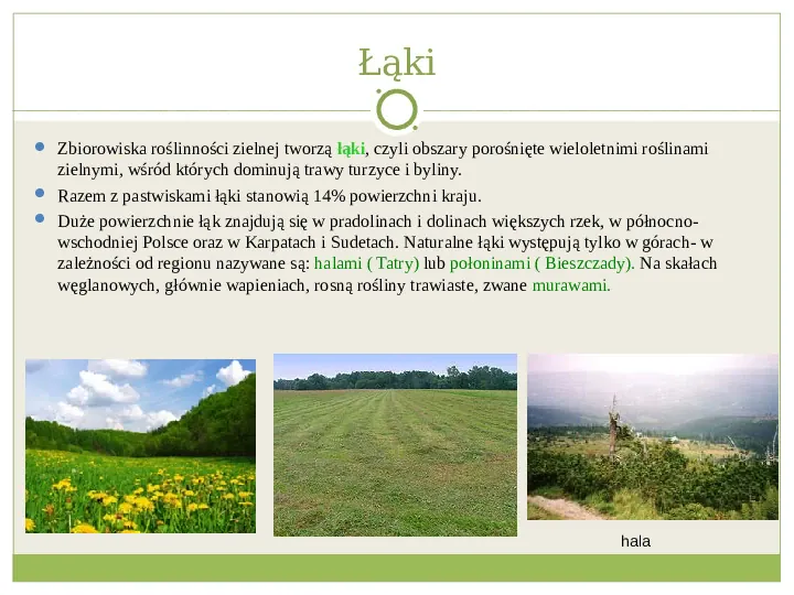 Świat roślinny i zwierzęcy w Polsce - Slide 16