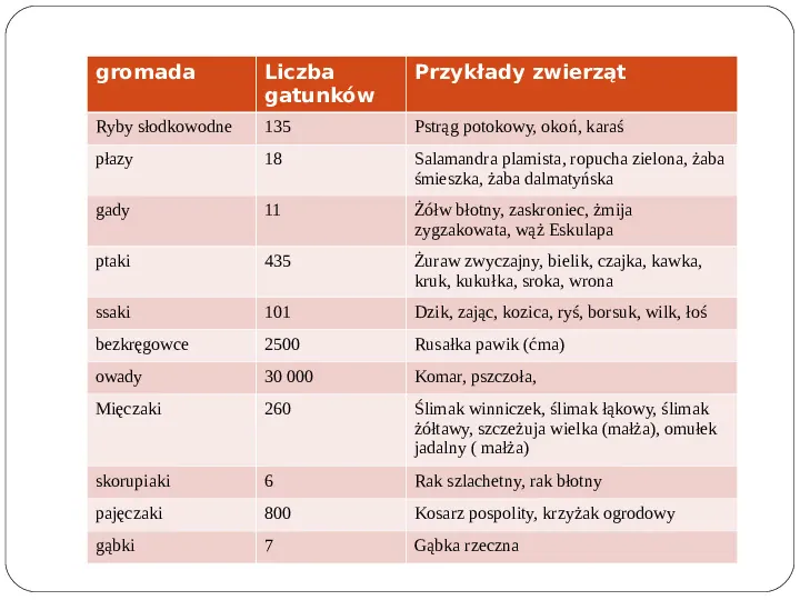 Świat roślinny i zwierzęcy w Polsce - Slide 19