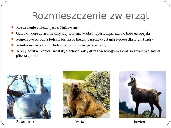 Świat roślinny i zwierzęcy w Polsce - Slide 20