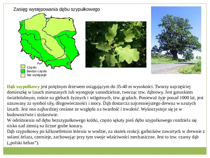 Świat roślinny i zwierzęcy w Polsce - Slide 6