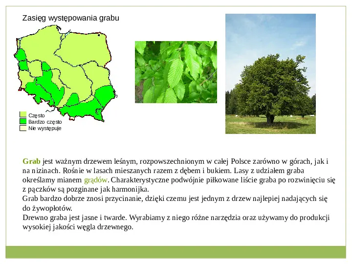 Świat roślinny i zwierzęcy w Polsce - Slide 7