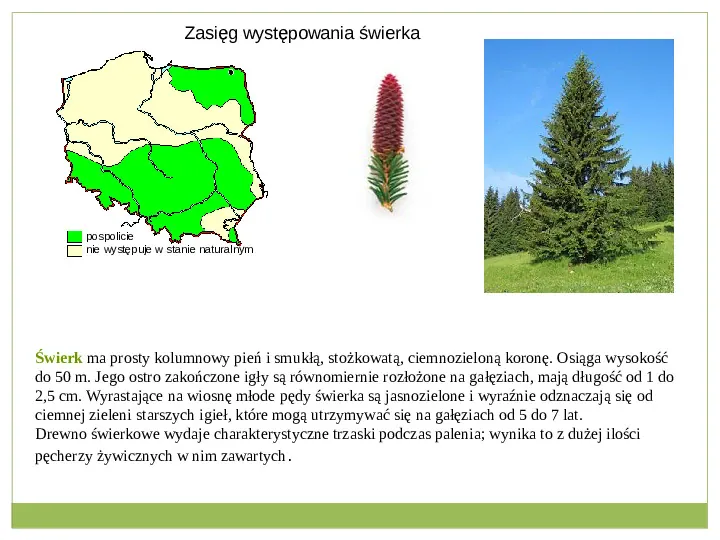 Świat roślinny i zwierzęcy w Polsce - Slide 8