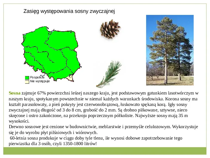 Świat roślinny i zwierzęcy w Polsce - Slide 9