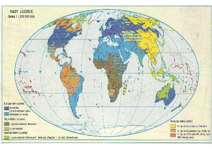 Zróżnicowanie ludności świata   - Slide 8