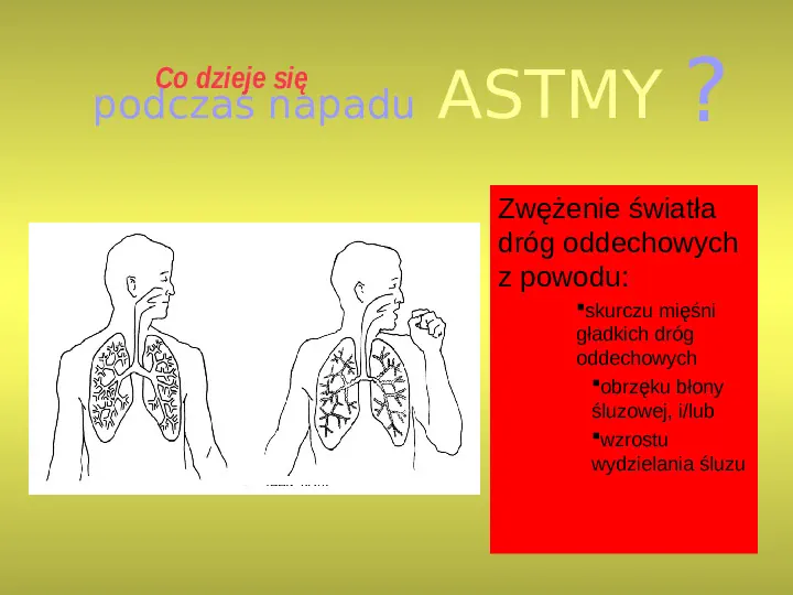 Układ oddechowy - Slide 48