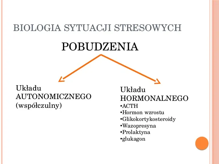 Stres - Slide 5