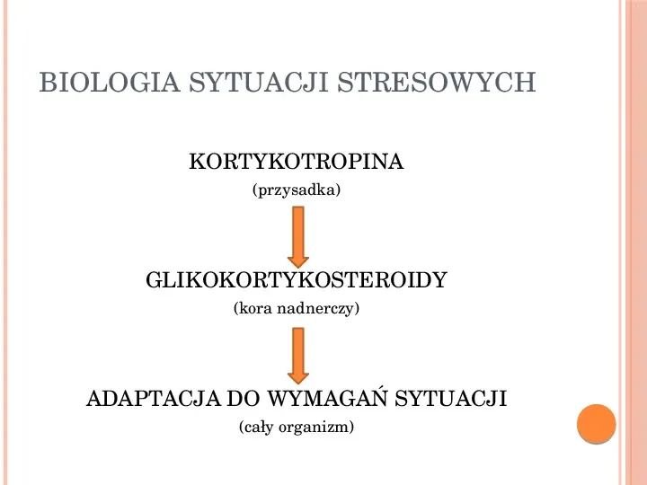 Stres - Slide 6