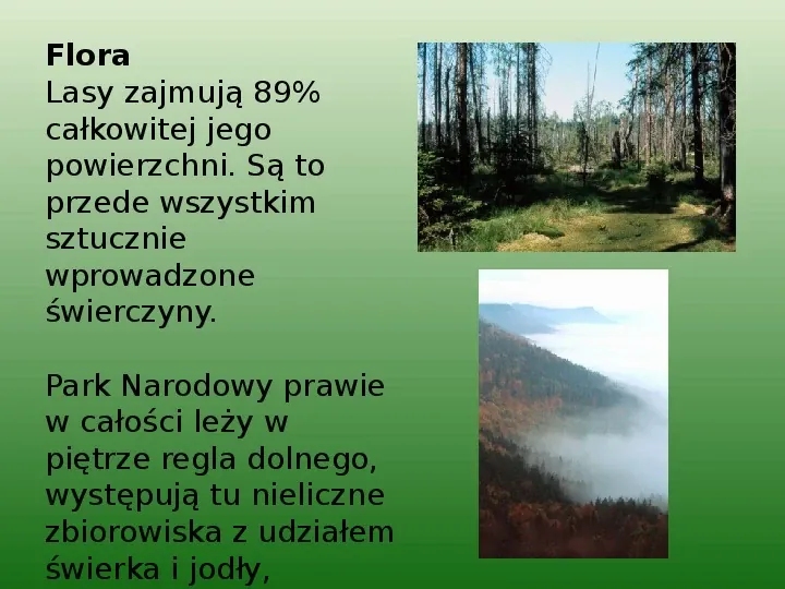 Park Narodowy Gór Stołowych - Slide 12