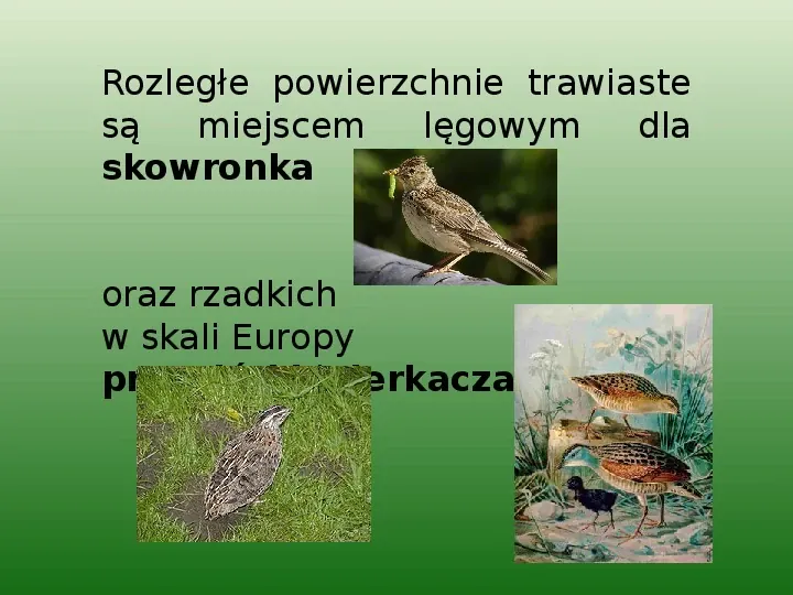 Park Narodowy Gór Stołowych - Slide 9