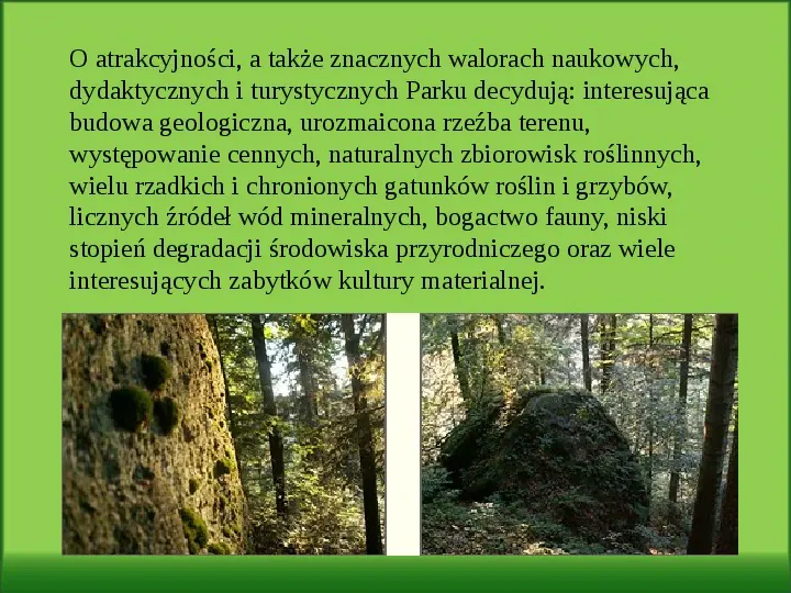 Parki Krajobrazowe Małopolski - Slide 11