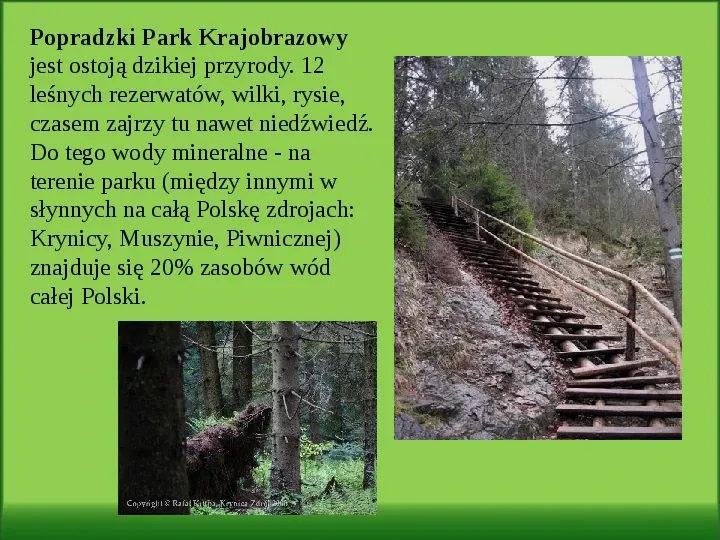 Parki Krajobrazowe Małopolski - Slide 9