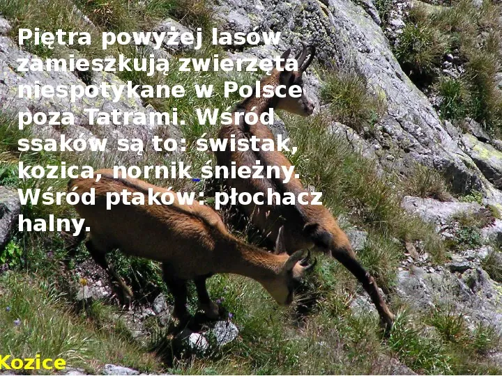 Tatry polskie - Slide 9