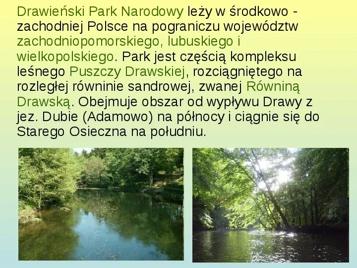 Drawieński Park Narodowy - Slide 3