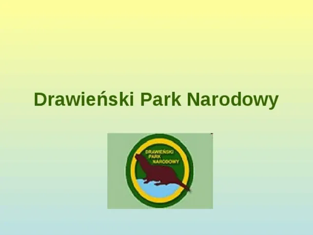 Drawieński Park Narodowy - Slide pierwszy