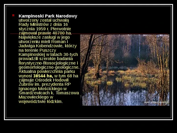 Kampinoski Park Narodowy - Slide 5