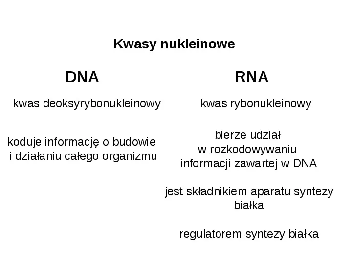 DNA - Slide 14