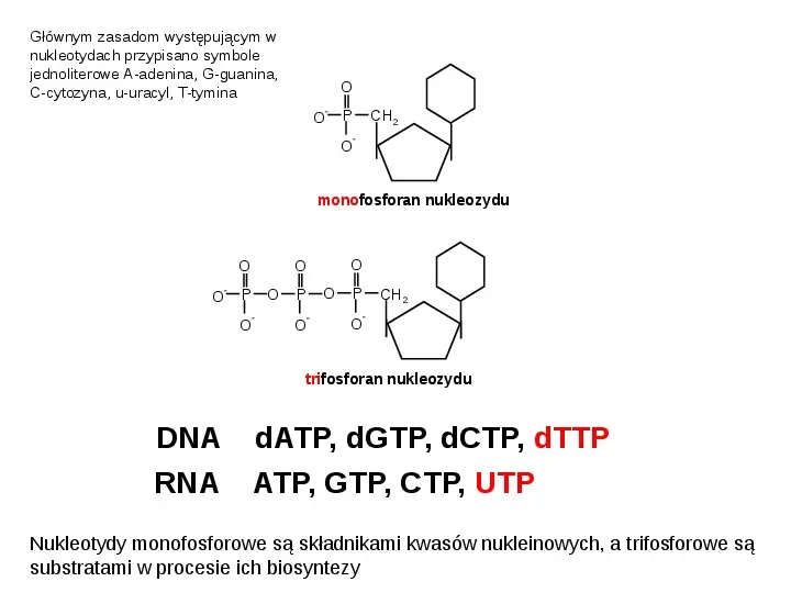 DNA - Slide 23