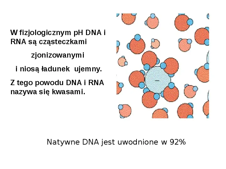 DNA - Slide 40