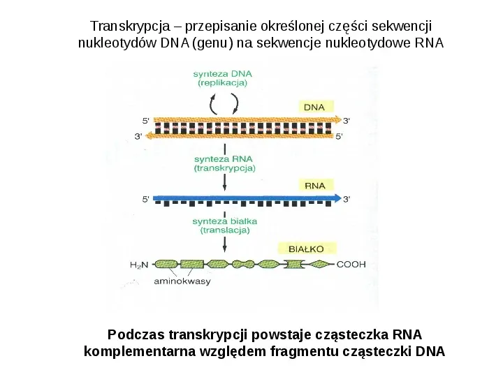 DNA - Slide 63