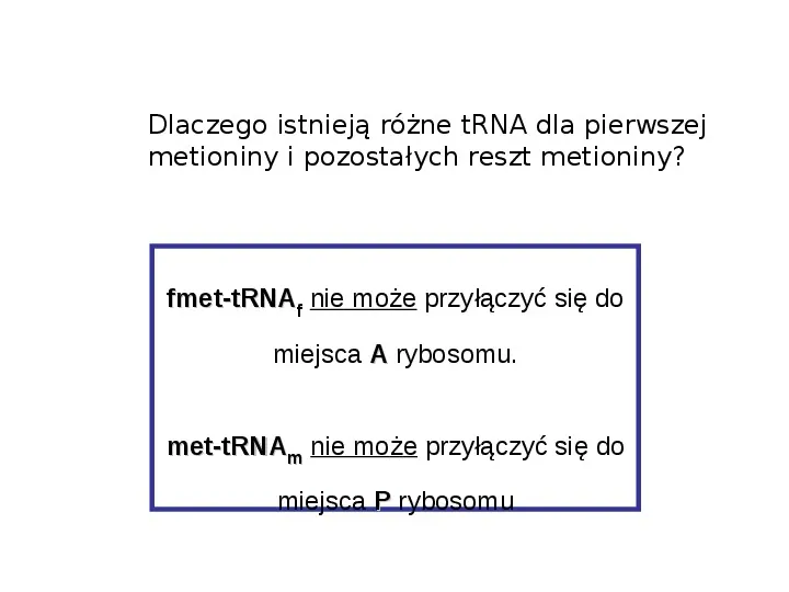DNA - Slide 88