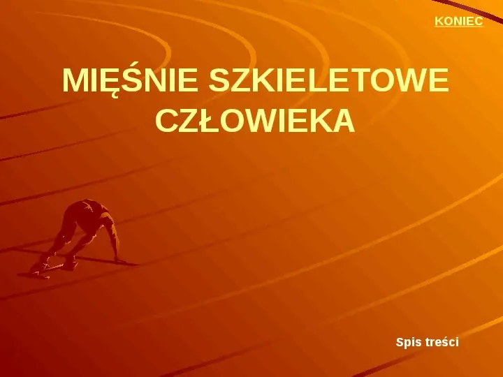 Mięśnie szkieletowe człowieka - Slide 1