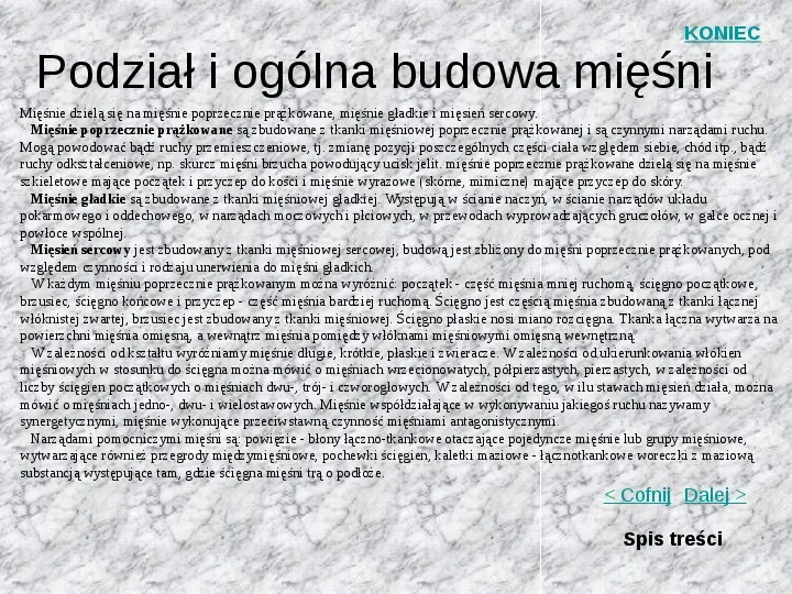 Mięśnie szkieletowe człowieka - Slide 4