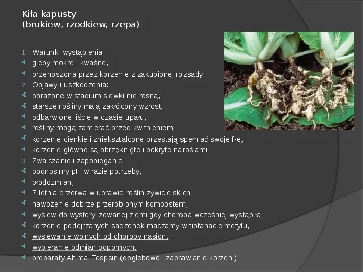 Choroby roślin warzywnych - Slide 20