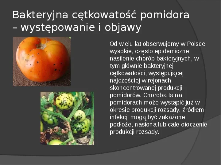 Choroby roślin warzywnych - Slide 45